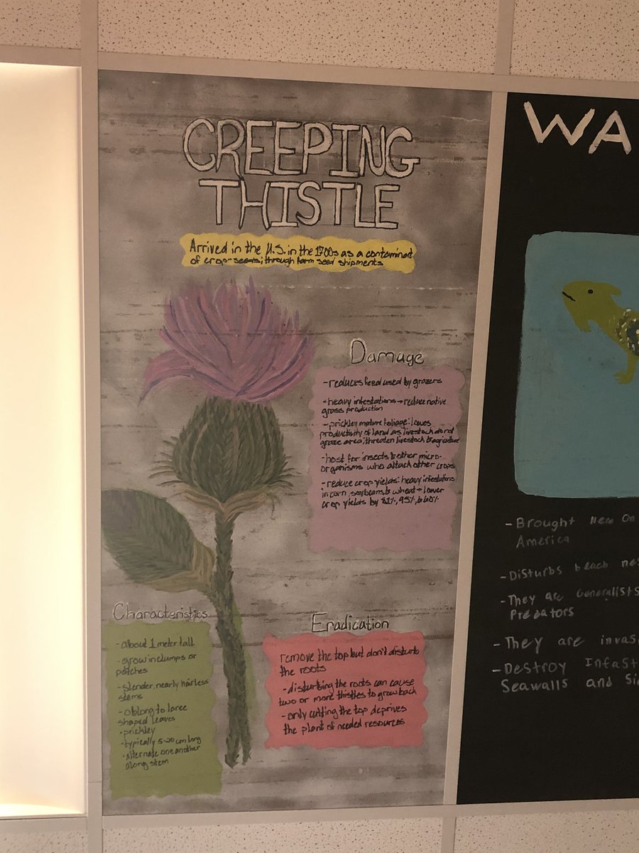 Michaela Gerhart tweet media