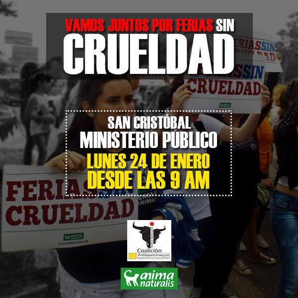 AndrewBTattooer's tweet photo. Vamos juntos este lunes 24Ene al Ministerio Público de #SanCristobal a apoyar las actuaciones del @MinpublicoVE y @TarekWiliamSaab por #FeriasSinCrueldad @AnimaNaturalis https://t.co/aMUf7MW4ba