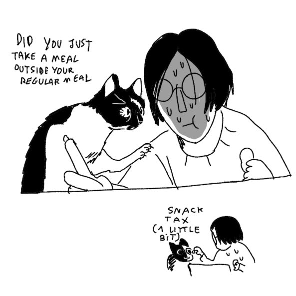 cat comics 