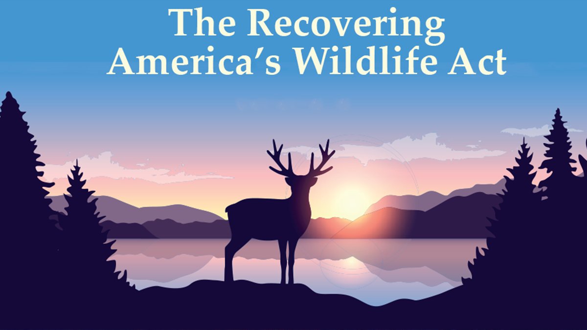 Agradecemos la labor por la conservación de la Vida Silvestre en la isla de la Comisionada Jenniffer González. De convertirse en ley, el Recovering America"s Wildlife Act asignaría fondos para salvar más de 280 especies nativas y endémicas de la isla amenazadas por la extinción.