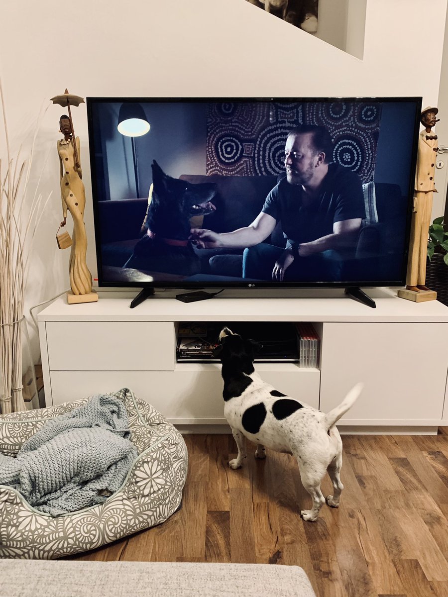 florianfelder's tweet photo. @rickygervais Brandys biggest fan… https://t.co/PJLI47Y6qw