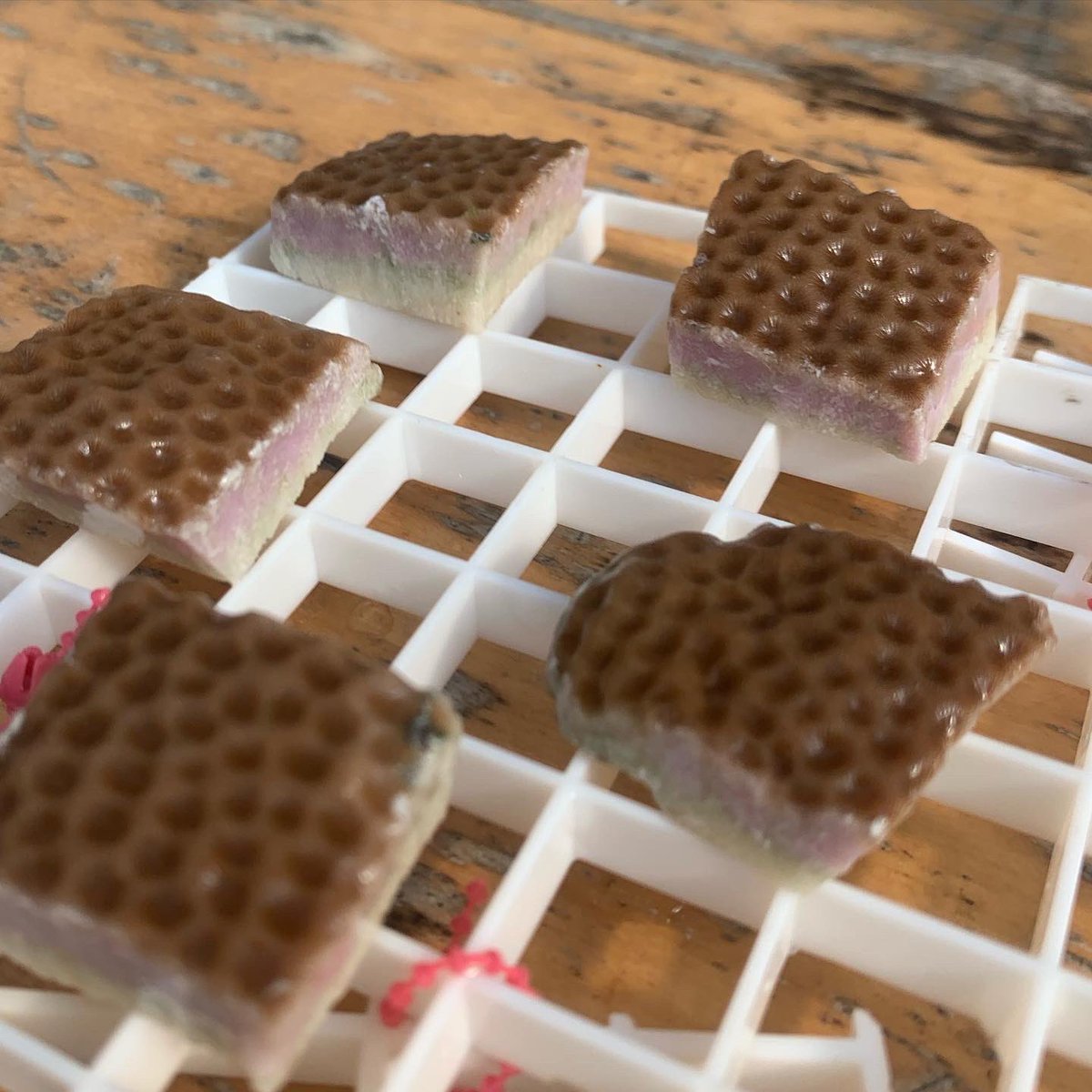 CoralReefFuture's tweet photo. Fridays are for #coral fragging!
🪚🛠
#PhD student @katherinehardyy uses a diamond bandsaw to cut a colony of Siderastrea siderea (massive starlet coral) into smaller fragments, each of which will be used for different parts of an experiment. Fragging is powerful tool in coral… https://t.co/lYqOeqd8wv