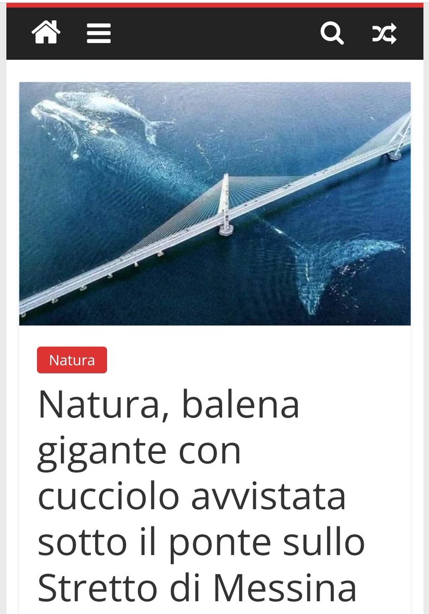 la_bongia's tweet image. Spettacolare!