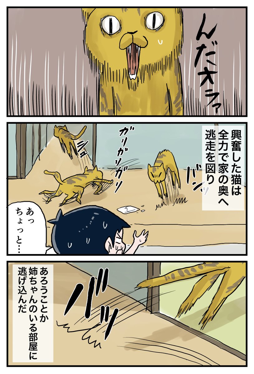 (2/3) 