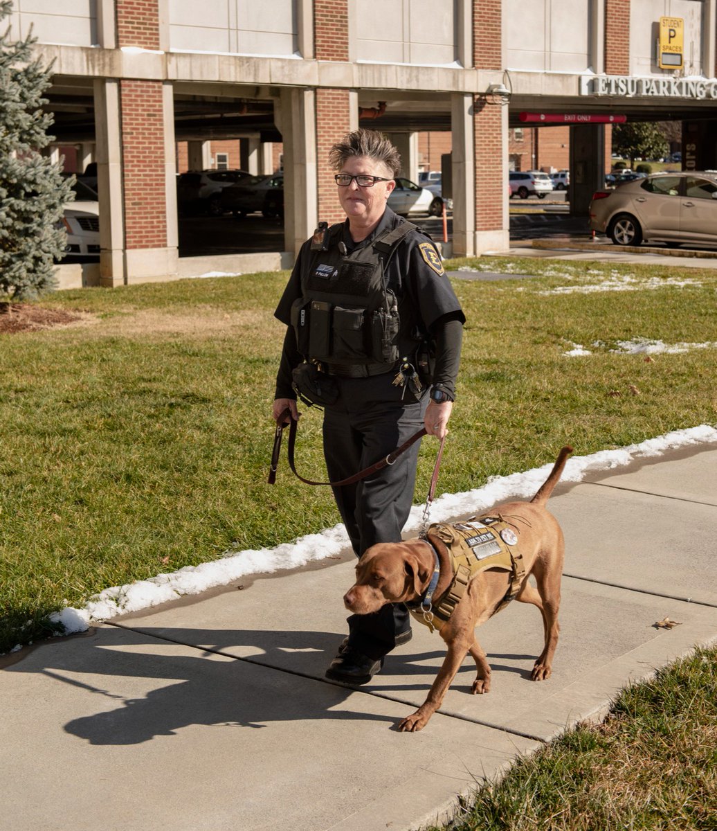 ETSU Public Safety's Therapy dog, Pepper, has a new handler. Sgt. Dreama Pullon recently became Pepper's official handler following the retirement of Officer Bill Mitchell. You can see Sgt. Pullon &amp; Pepper around campus and follow Pepper <a href="/Pepper_ETSU/">Pepper</a> 

ow.ly/mwr150HA7S2