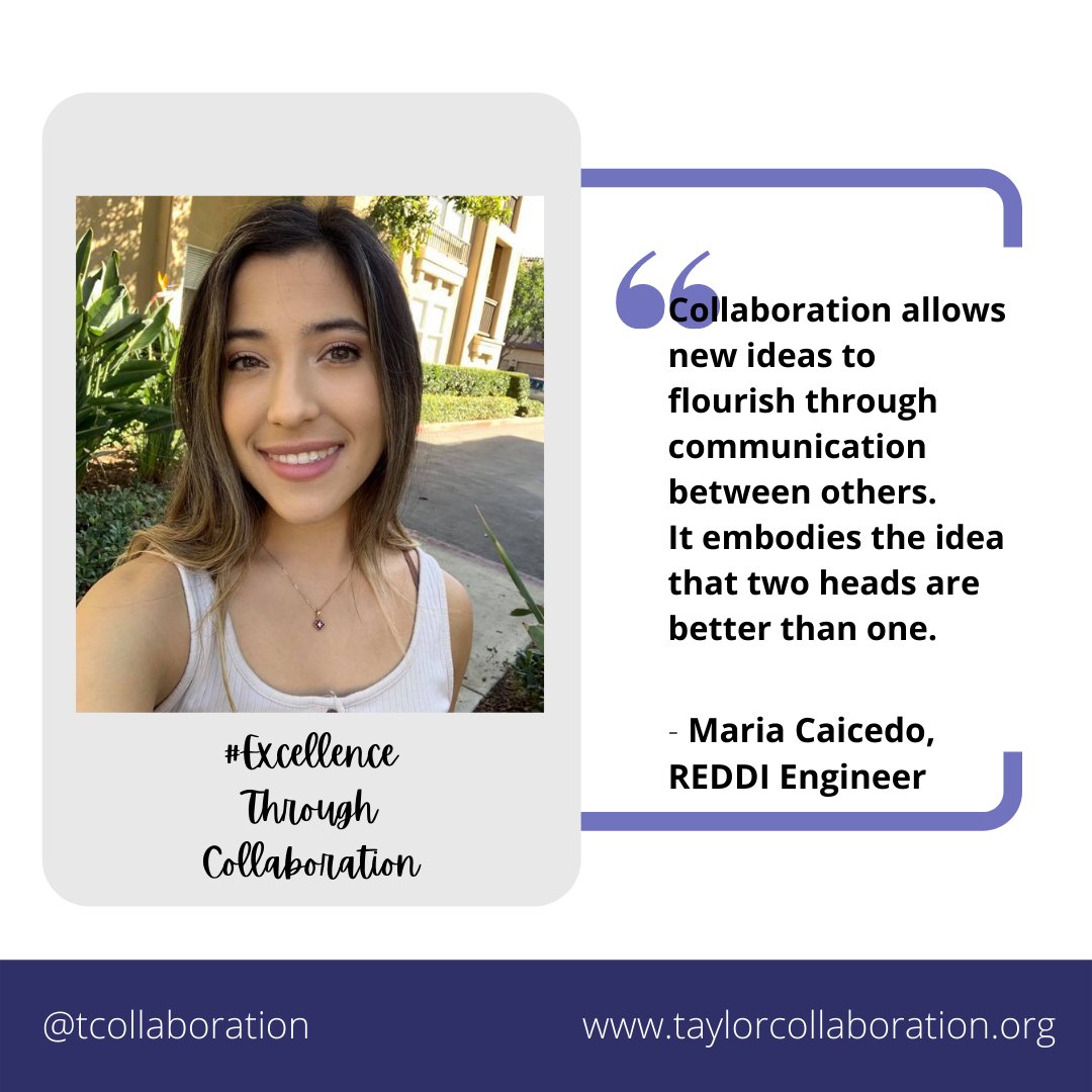 The Taylor Collaboration tweet media