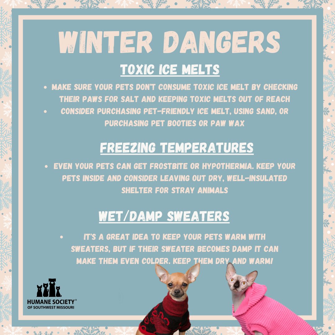 With winter making its debut in the past few weeks, there are a number of winter dangers to watch out for. Follow our winter safety tips to keep your pet’s safe and warm!