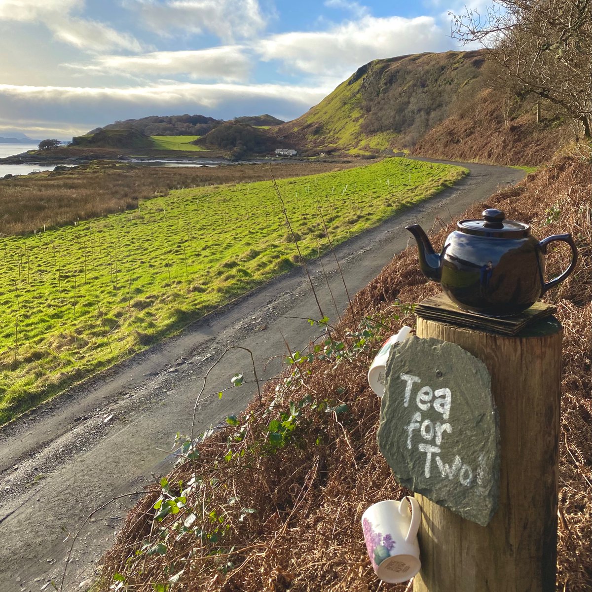 FinlayD's tweet photo. Blue skies in the west *rubs eyes*
Escaping to an island where you feel like the only person on it has to be a successful Friday, right?ππβοΈππ»
#WeekendWandering #Kerrera #Peace https://t.co/NNBZ2HU9hP