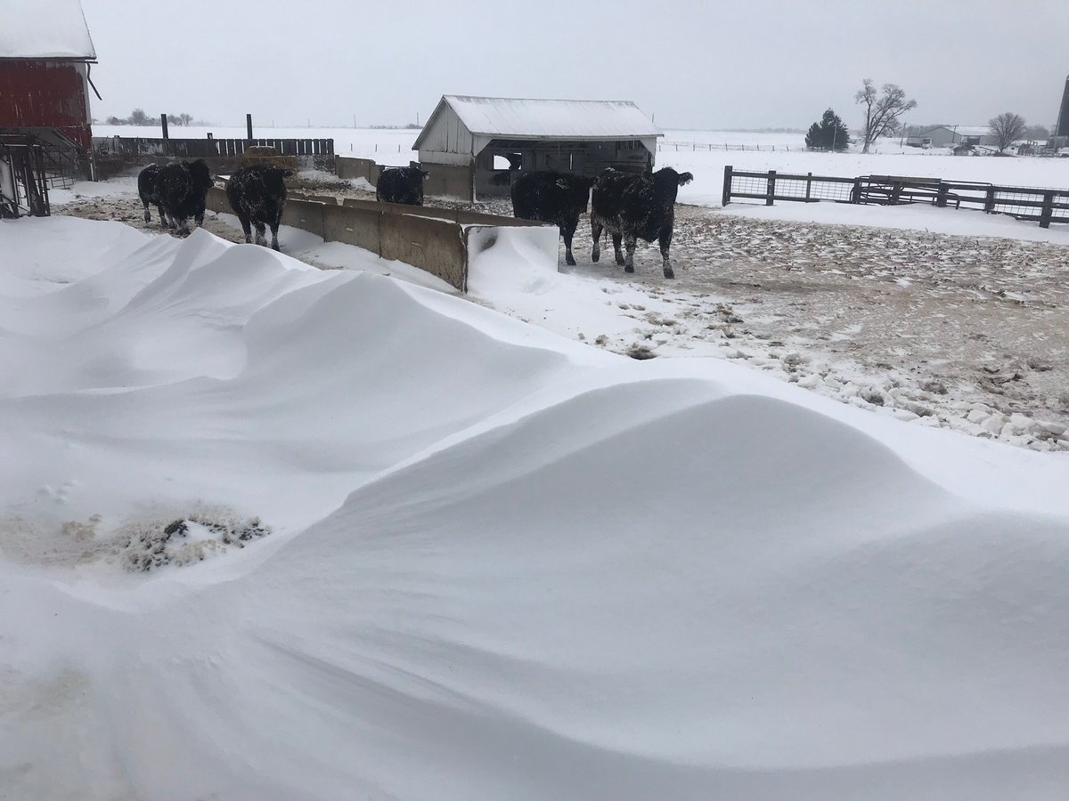 Daniel Grant tweet media