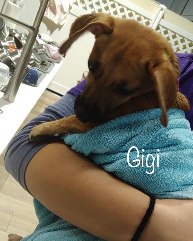 Our week in review... have a great weekend 🤗 🐾
#weekendmood #fridayfeels #weekendoff #weekendmode #friyayvibes #weekendvibes #weekendbegins #weekendfeels #fridayfeeling #happyweekend #furgetmenot #fgmnlobby