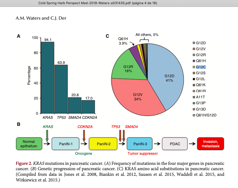 KellyBorgesAra2's tweet image. KRISTAL-1 trial presented at #GI22 is really surprising: 100% of DCR in PDAC/BTC with KRAS G12C mutation. Hopefully in the near future the personalized medicine for PDAC will not be the exception.
🙂BRCAm1/2 germ: 5-7%;
🥺MMRd:&amp;lt;5%; 
😐NRG1-fusion &amp;lt;1%; 
😃KRASm:90% 
😶KRAS G12C&amp;lt;1%
