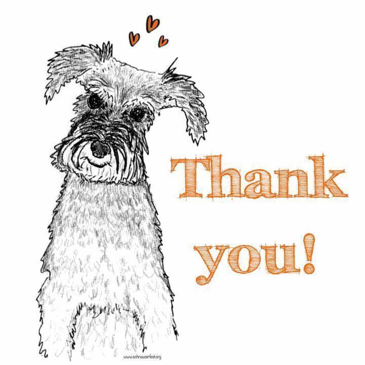 Donate by text 🧡 

Text SFEST to 70085 to donate £5 or to donate
🧡 £1 SFEST 1
🧡 £3 SFEST 3
🧡 £10 SFEST 10
🧡 £20 SFEST 20

(Texts cost the donation plus a standard rate message. If you’d prefer not to receive marketing communications, text SFESTNOINFO to 70085).