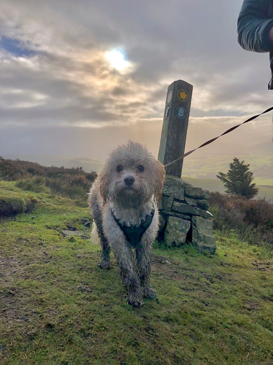 Liverpool Otters Touch Rugby tweet media