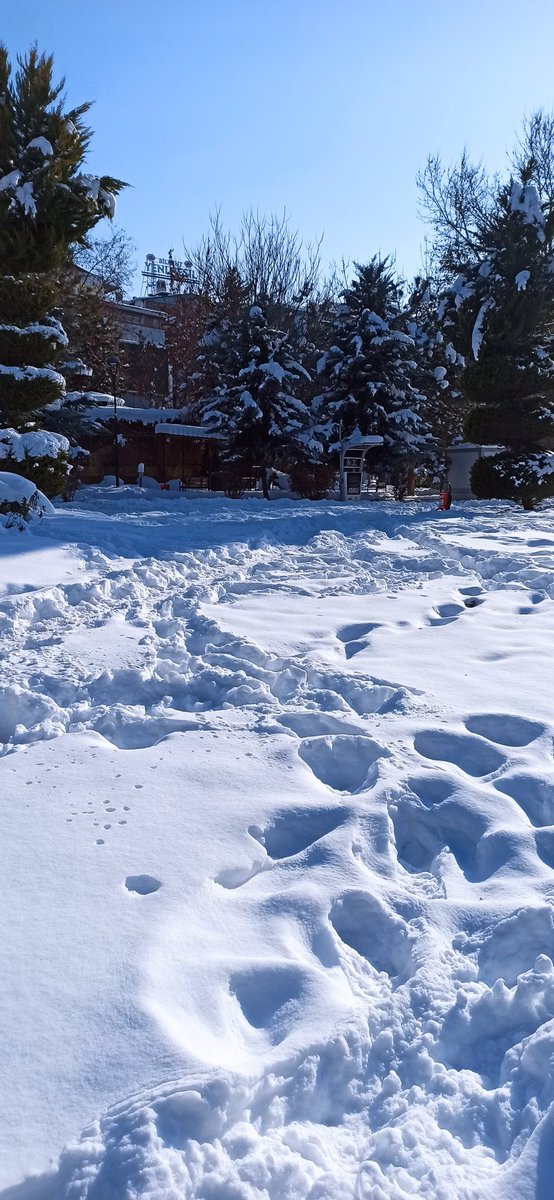 yolda yürümek bile zor, Dicle tıp yalnız değilsin #diclebutlerionlineistiyor