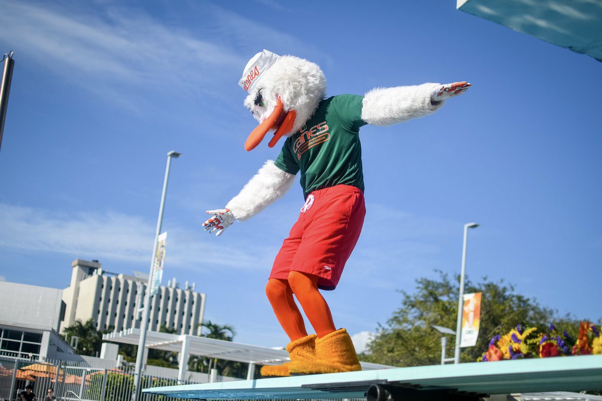 Miami Swim & Dive tweet media