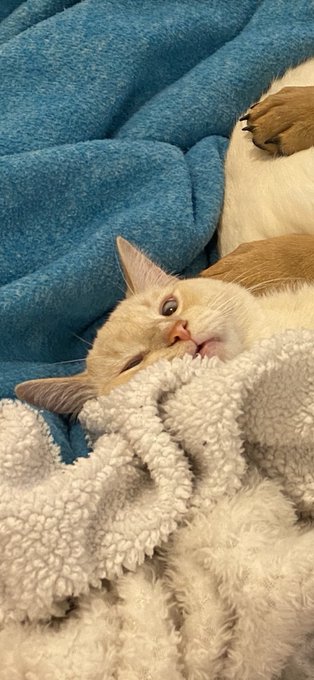 Oh my god 😂 https://t.co/aqioN6j1tg