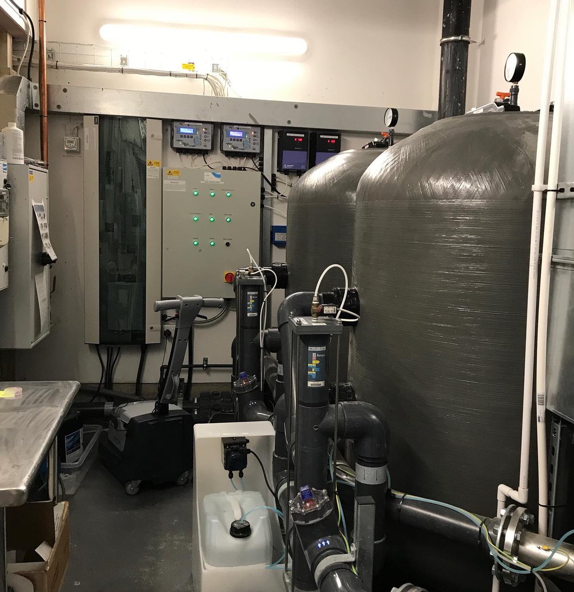 Ali Beckman tweet media