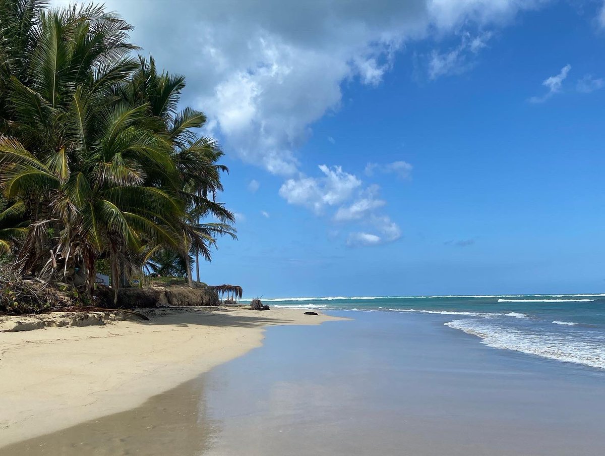 JemGribb's tweet photo. Waving adios to paradise tomorrow 🇩🇴 What a beautiful week ! https://t.co/mWuMCn8iB5