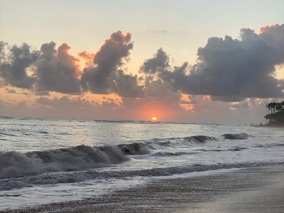 JemGribb's tweet photo. Waving adios to paradise tomorrow 🇩🇴 What a beautiful week ! https://t.co/mWuMCn8iB5