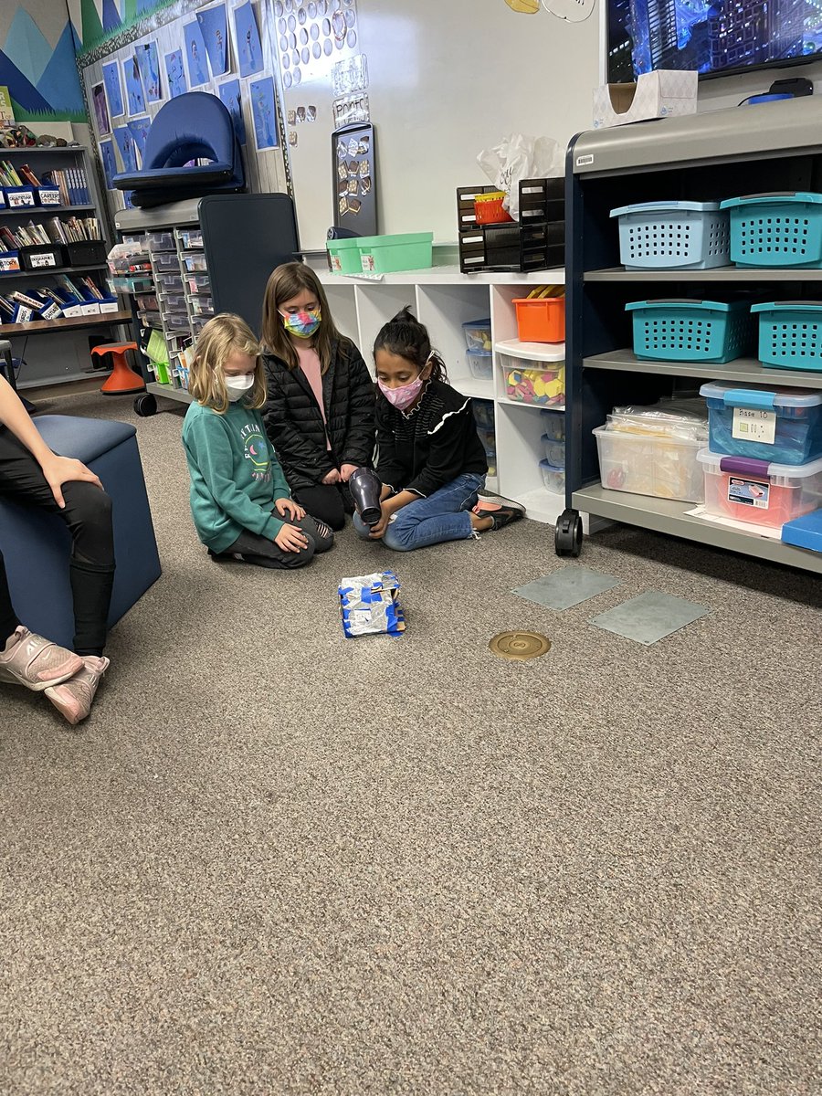 Teresa Codemo tweet media