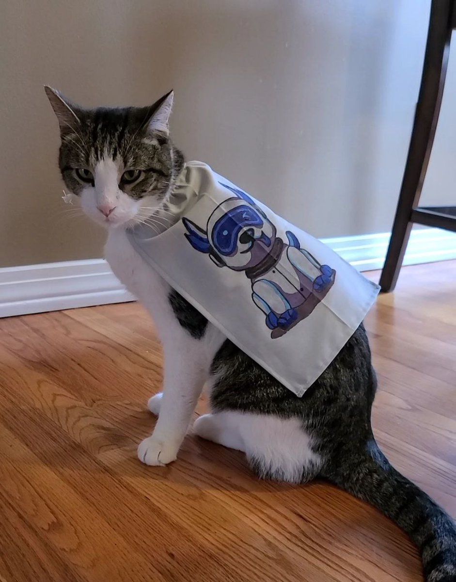 Armel2000's tweet photo. Anybody said Robodogs?! 😻🐶 In unity we stand!! $RBIF remains very stable during this rough period for crypto! 🤖🚀 Once again shows the strength of a organically grown strong community! 🫂💸#RoboInu #RoboSpacex #RoboWarrior #Roboventures @RoboInuFinance @msvy_crypto https://t.co/rxXwkn0ZR7