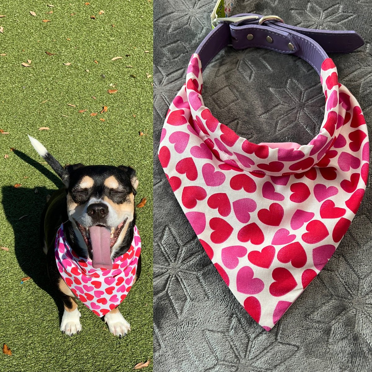 Available in my shop check it out #smallbusiness #valentinebandana #handmade #etsy #ersyshop #fridayvibes #dogslover #dogmom #petaccessories #valentinegift 🐾🐶