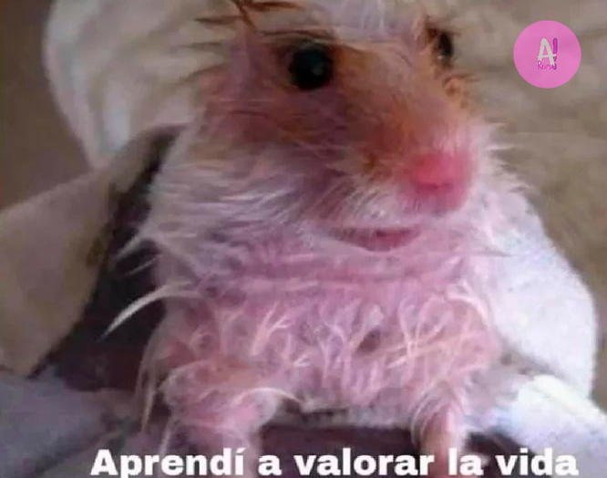 elespacioviral's tweet photo. Yo después de que me revolcara una ola en el mar https://t.co/X0t9TdjFcX