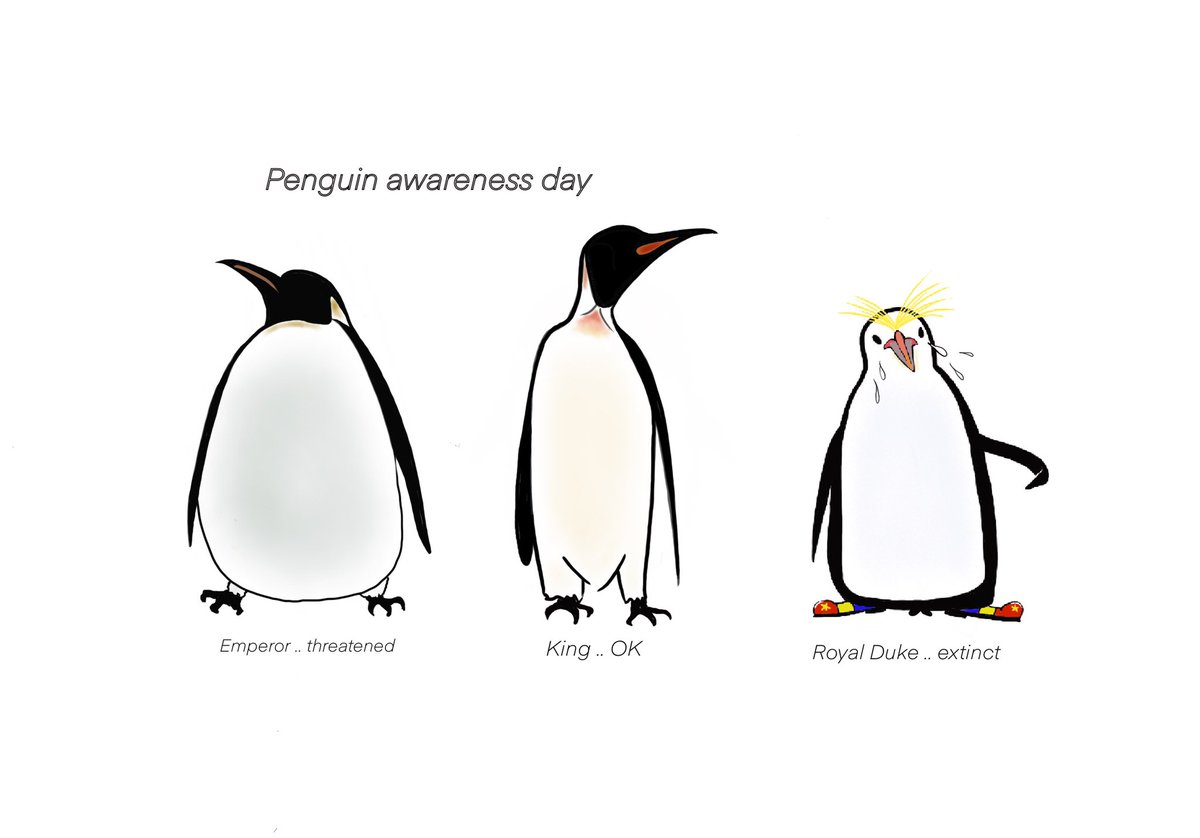 AllmanPeter's tweet photo. #PenguinAwarenessDay #RoyalFamily #princeandrewtrial #GislaineMaxwell #Epstein 
bollocks, forgot to put the sweat in😬 https://t.co/X25QkLTnCO