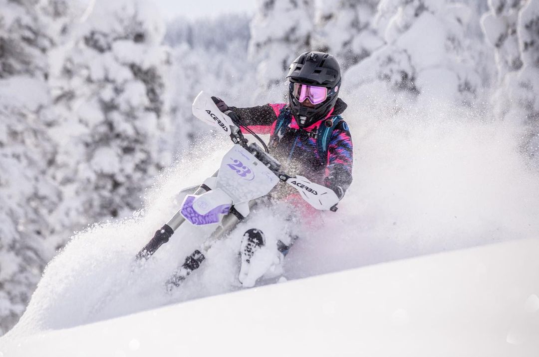 Timbersled tweet media