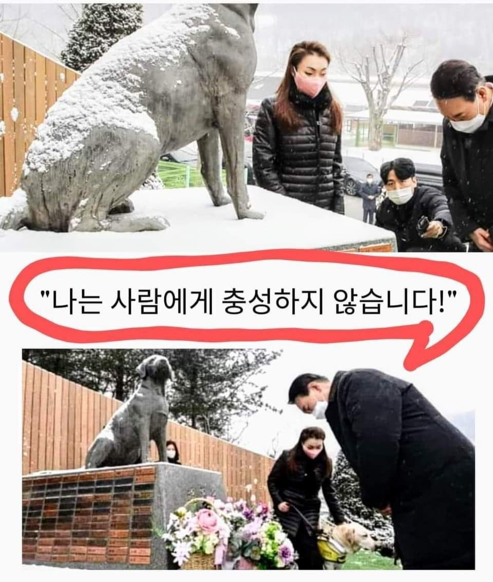 윤석열씨!
"표" 는 가까이서 어깨두드리며 조언해주는 (살아있는 소 가죽을 통째로 벗기는)분하고 짐승에게나 달라고 하세요.

윤석열은
짐승한테는 고개도 숙이고 할지언정 국민에게는 절대 충성하지 않습니다.

소상공인, 자영업자 지원 추가예산도 절대 협조 안 합니다.
