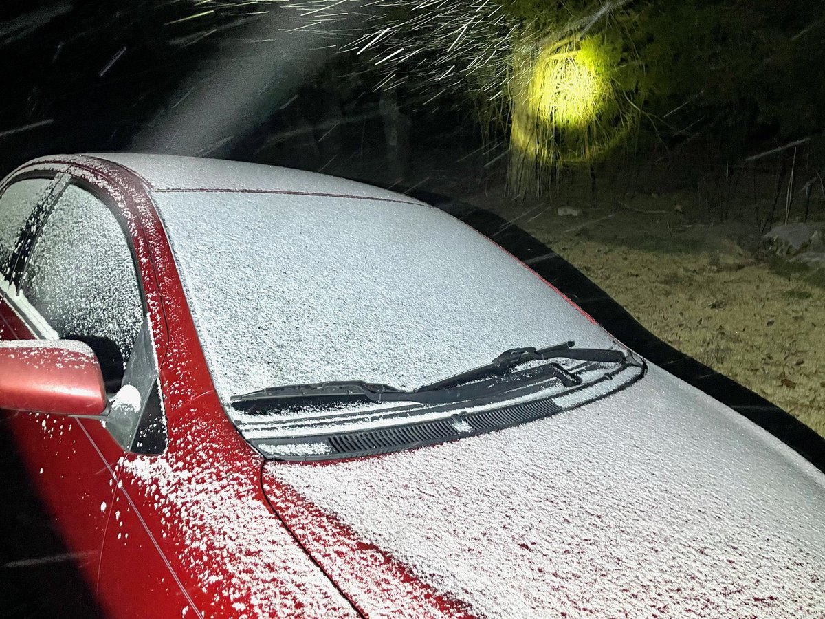 Lisa Thompson tweet media