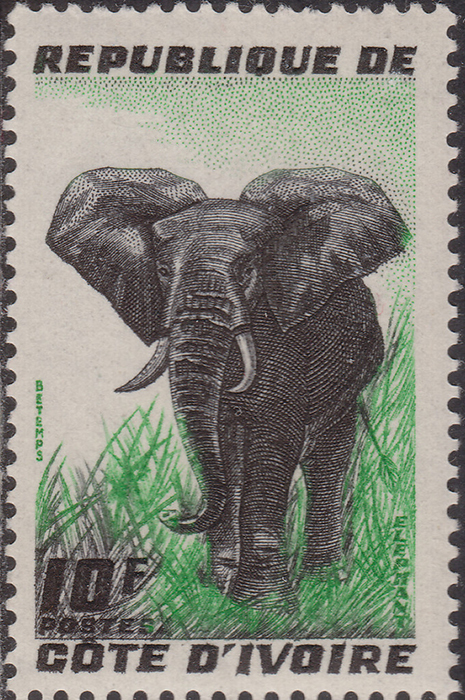 First_Stamps's tweet photo. FIRST ISSUE of the Day: Formerly a French colony, the Ivory Coast became and autonomous republic within the French Community (Sc167 SG180) in December 1958 and achieved independence (Sc182 SG198) on 7th August 1960. #philately #stampcollecting #Stamps https://t.co/Mdn80H6H6o