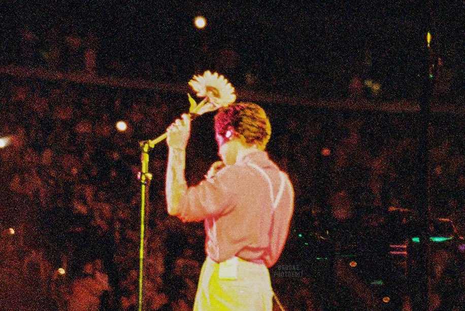 harry styles , Social Media Search Visualized | TheVisualized