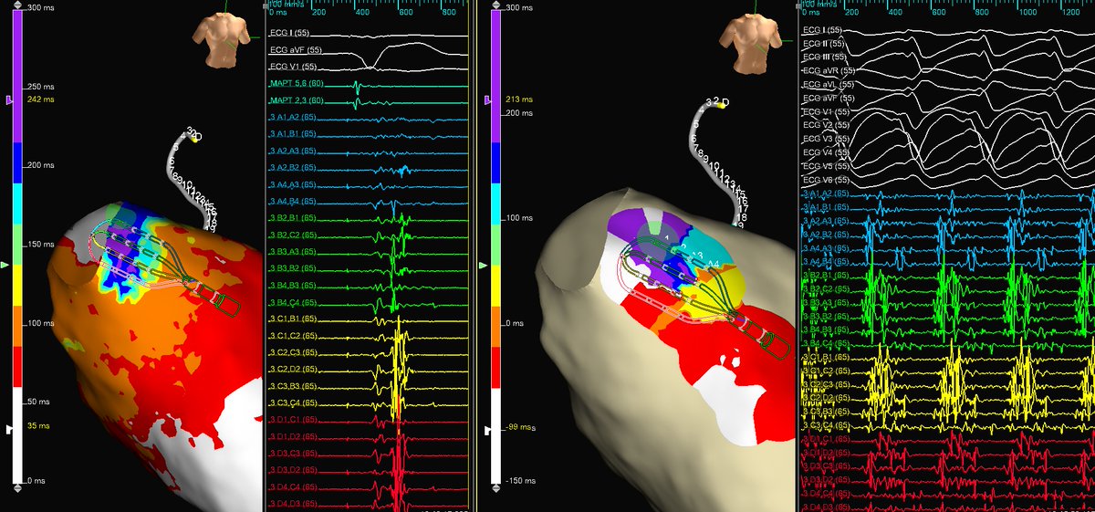 Roderick Tung tweet media