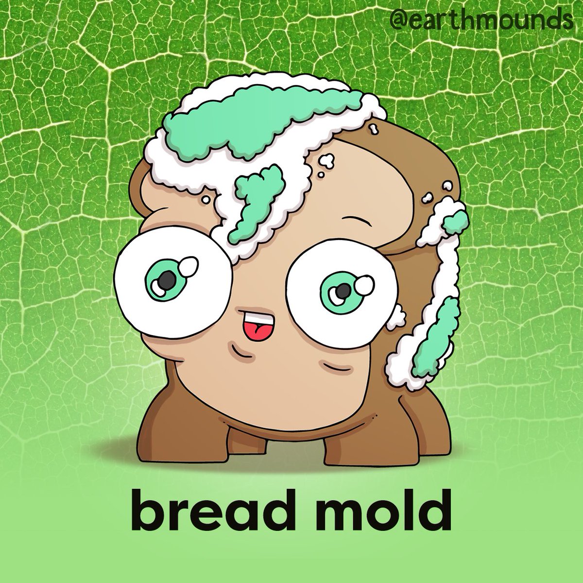 EarthMounds's tweet photo. Did you know that Ancient Egyptians used to put moldy bread on wounds to help prevent infections and promote healing? Many fungi have antibiotic properties. #earthmounds #mold #history #learning #biology #science #ecology #wildlife #natural #conservation #naturelovers https://t.co/f1NirXCuXw