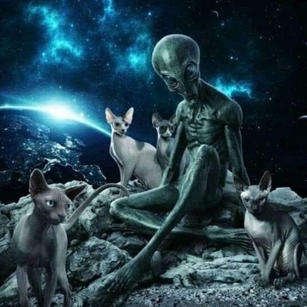 alien_750 tweet picture