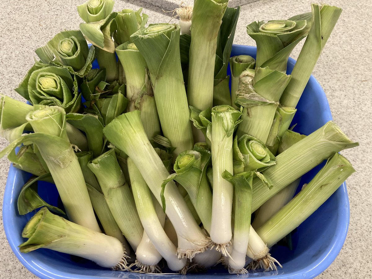 Care of the countryside team harvested our first leeks of the year 😀 5kg trimmed! 🌱 🌱