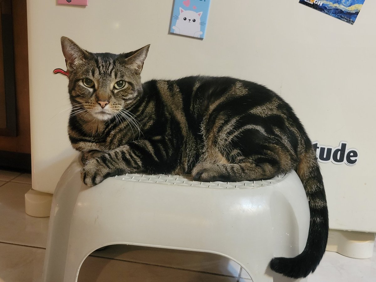 Byh4qdagihqatm Byh4qdagihqatm