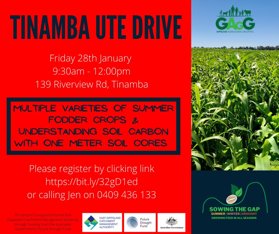 Have you booked in yet?
Click link bit.ly/32gD1ed