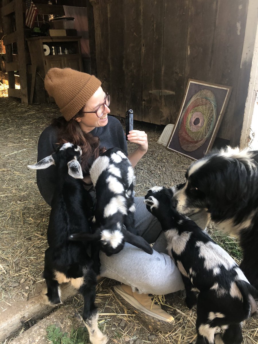 DonnerPartyPod's tweet image. Somehow our darkest episode kicks off with just a bunch of baby goats.