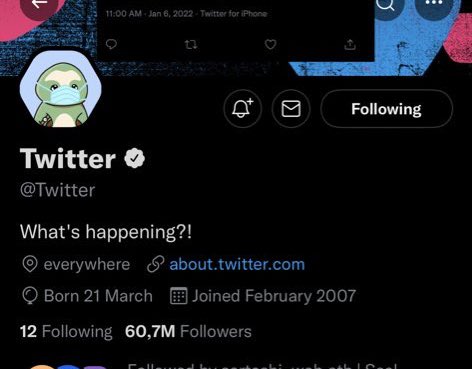 Iris_LuckySloth tweet media