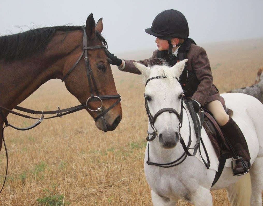 wickhamwicks's tweet photo. Blessed to have had you as our best friend Bob. Run free with all your besties in the clouds. You taught my family kindness, love &amp; respect &amp; I am so truly grateful forever. We are broken &amp; empty without you and miss you so much. We will never forget you #Bobsworth❤️#ThankYouBob https://t.co/sbiat3A3yt