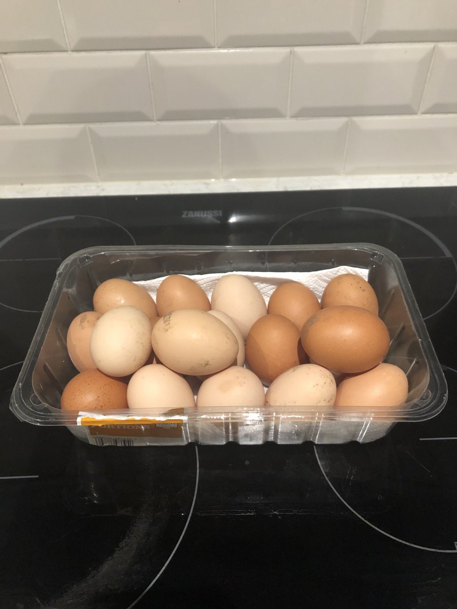 I went for a pint after work to my Very Rural Local™️ and not only did I get a proper pint, but I also got handed a pile of freshly laid eggs which are, to quote the barwoman, straight from the hen's arse. I simply love Ireland 🥚🥚🥚🥚🥚