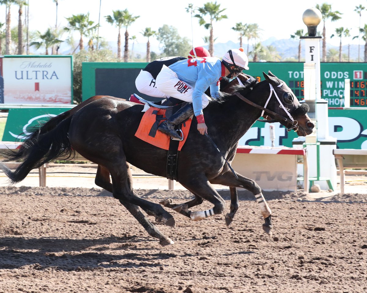 Congratulations to owner and breeder BG Stables on Rational’s win this afternoon <a href="/turf_paradise/">Turf Paradise</a>! Lindey Wade in the irons for the winning ride. #JMRacing