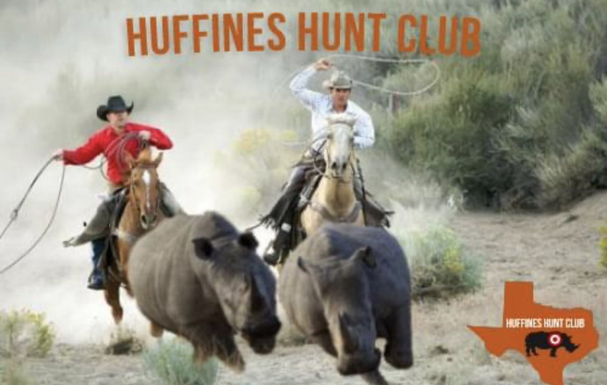 FJqE8s6XwAIacR2?format=jpg&name=medium