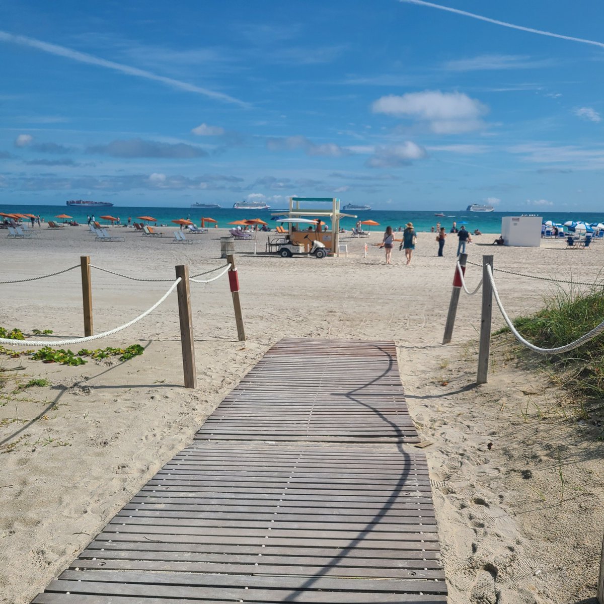 Aimeemmay3@gmail.com tweet media