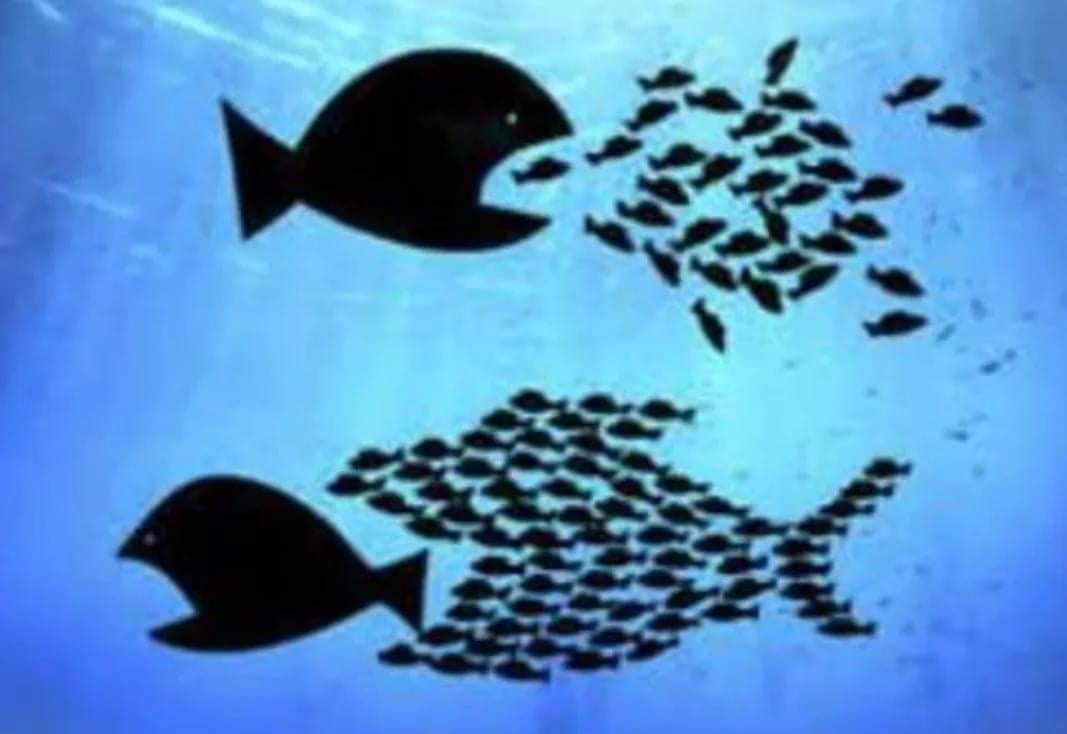 DiegoFusaro's tweet photo. Se si è capito questo, già si è capito molto. https://t.co/Jp7m4yNevQ
