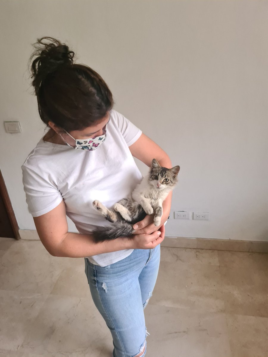Nelbasd's tweet photo. Gracias a todos por publicar ya el gatito tiene hogar 🥳💃😁 #elpoderdelasredes 💪 https://t.co/1Iuph7d5Av