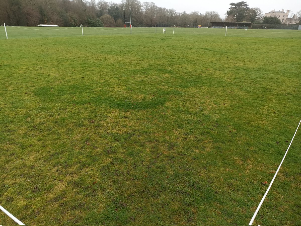 GreenCurator's tweet image. #timeforchanges 2022 it&apos;s time that I spoke up if your not happy that your problem. @DavidGoodjohn @BIGGALtd @thegma_ @RFURugbyGrounds @CricketGroundo @FootballGrf