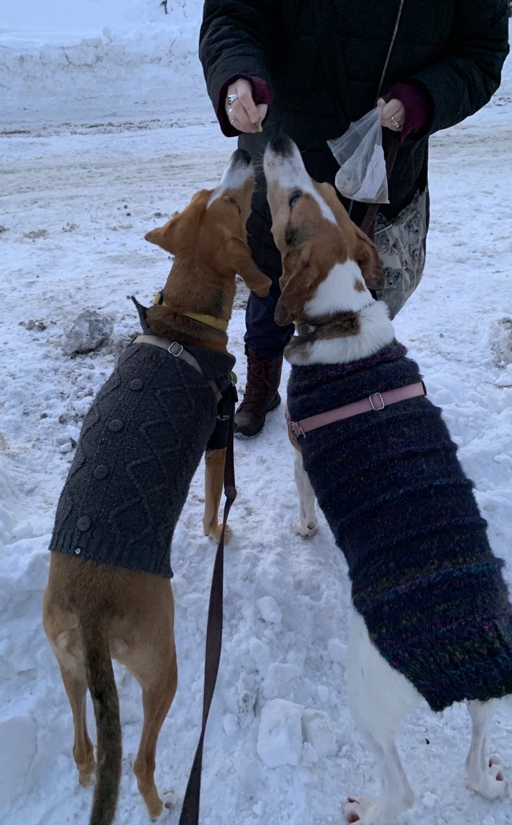 Jennifer Evans tweet media